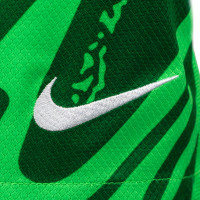 Nike Dutch Team Long Sleeve Goalkeeper Kit 2024-2026 Kids Green