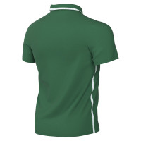 Nike Dri-FIT Park 26 Polo 1/4 Button Kids Dark Green White