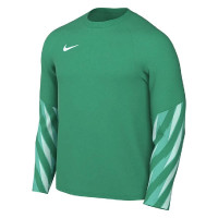 Nike Dri-FIT Park Goalkeeper V Keepersshirt Lange Mouwen Lichtgroen Wit