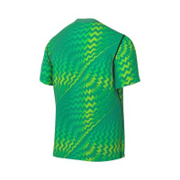 Nike Dri-FIT Gardien VI Goalkeeper Shirt Light Green White