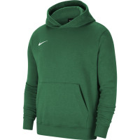 Nike Park 20 Hoodie Fleece Kids Green