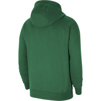 Nike Park 20 Hoodie Fleece Kids Green