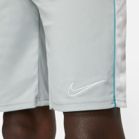 Nike Dry Academy Training Short Light Grey White